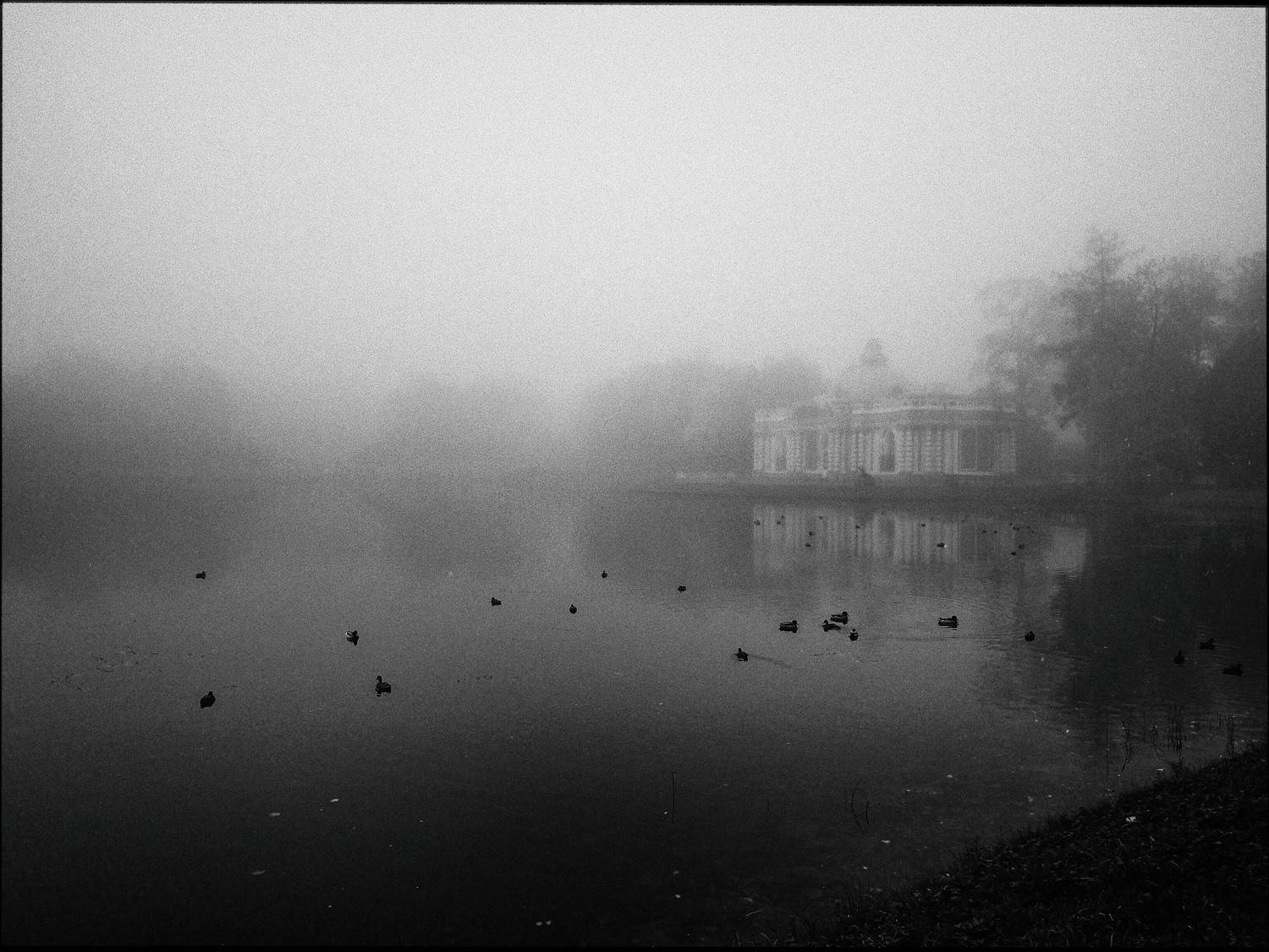 пейзаж, город, санкт петербург, чб, черно белое, репортаж, озеро, парк, туман, осень, Жирнов Андрей
