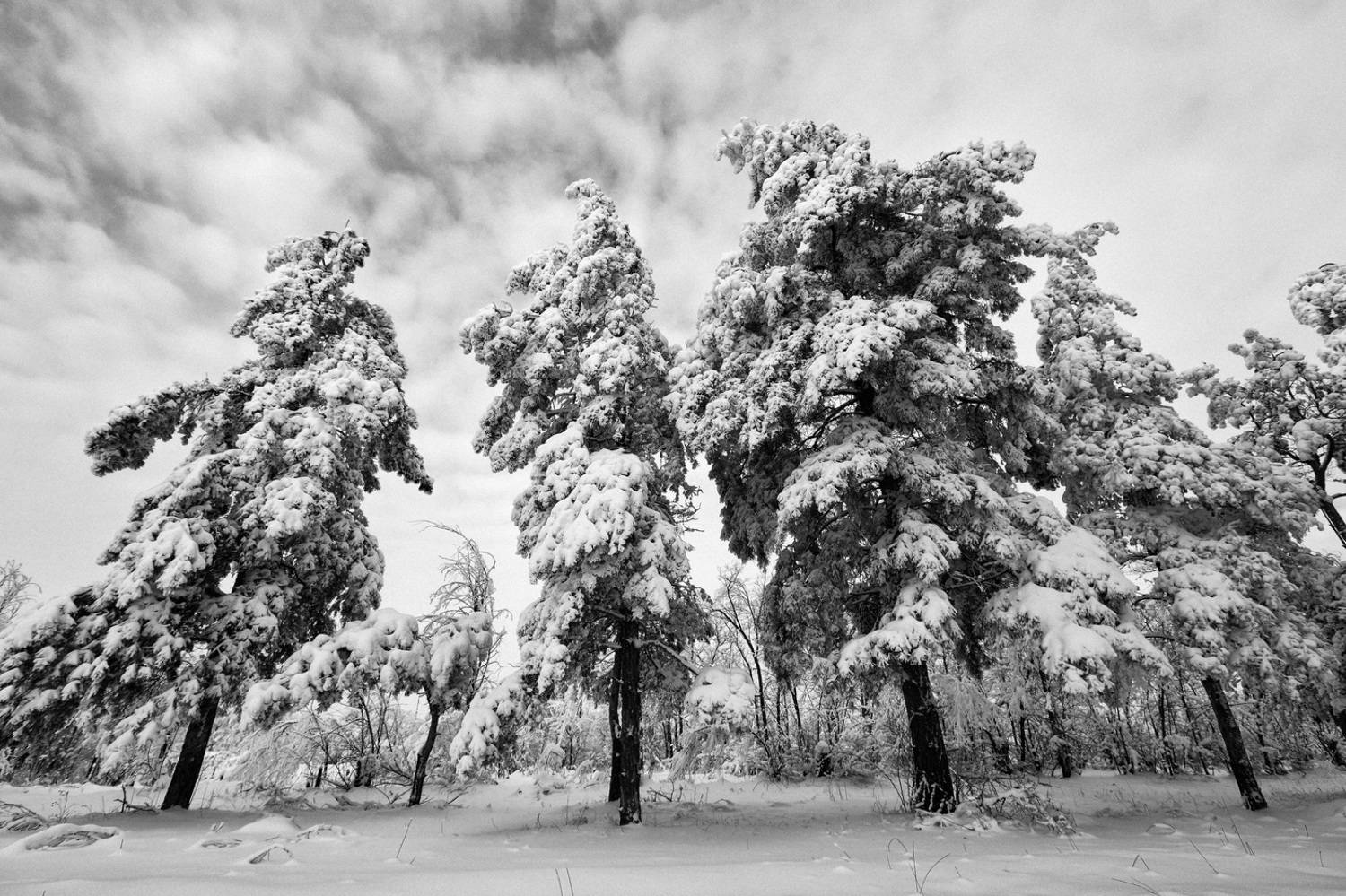 пейзаж, Murat Kuzhakhmetov