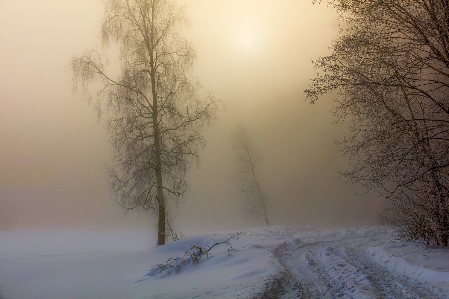 ,  александр михайлов