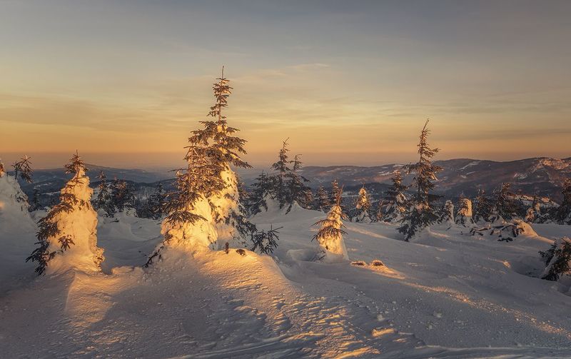O poranku фото превью