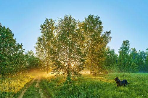 Встреча восхода