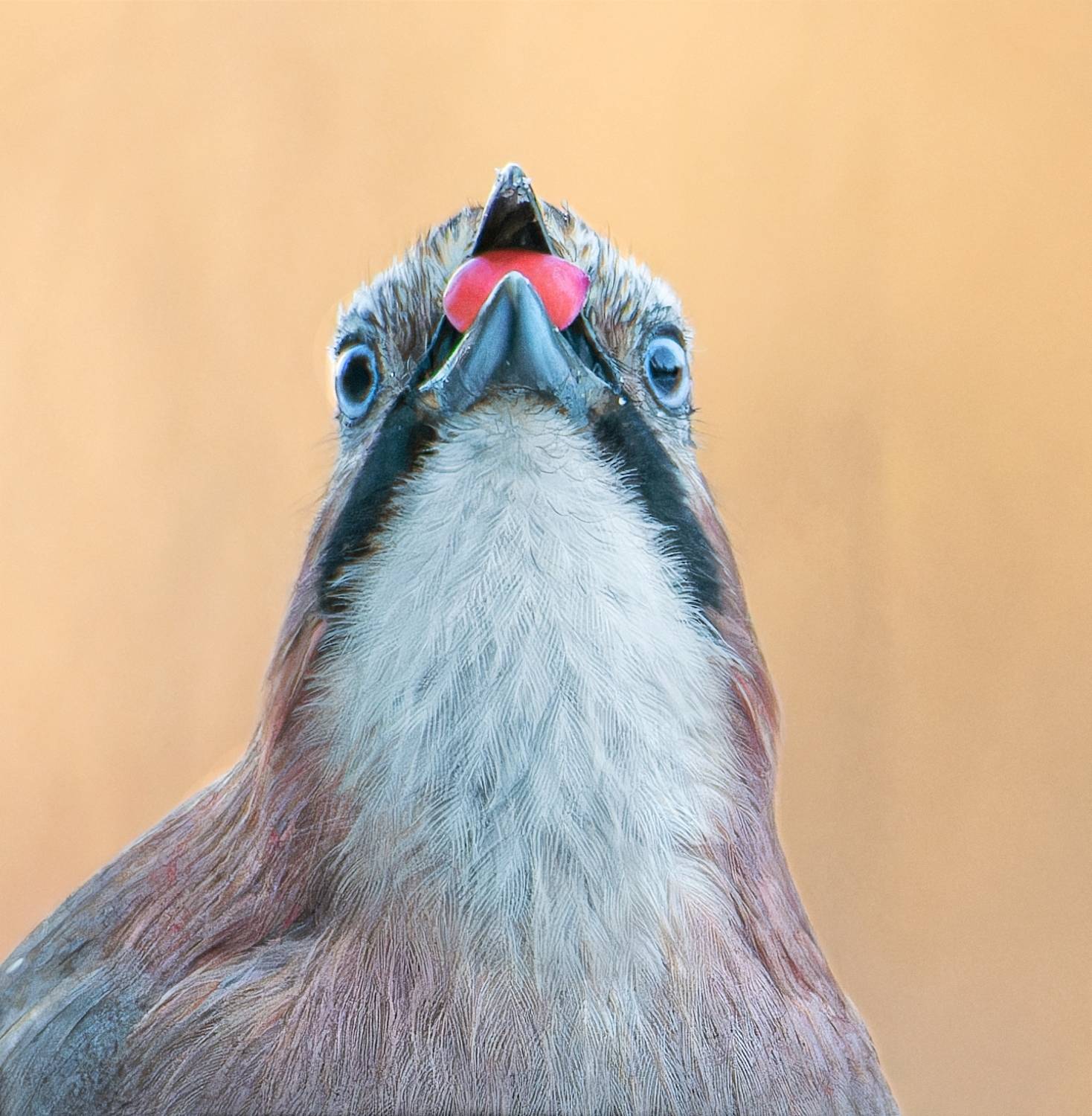 , Фото Александр