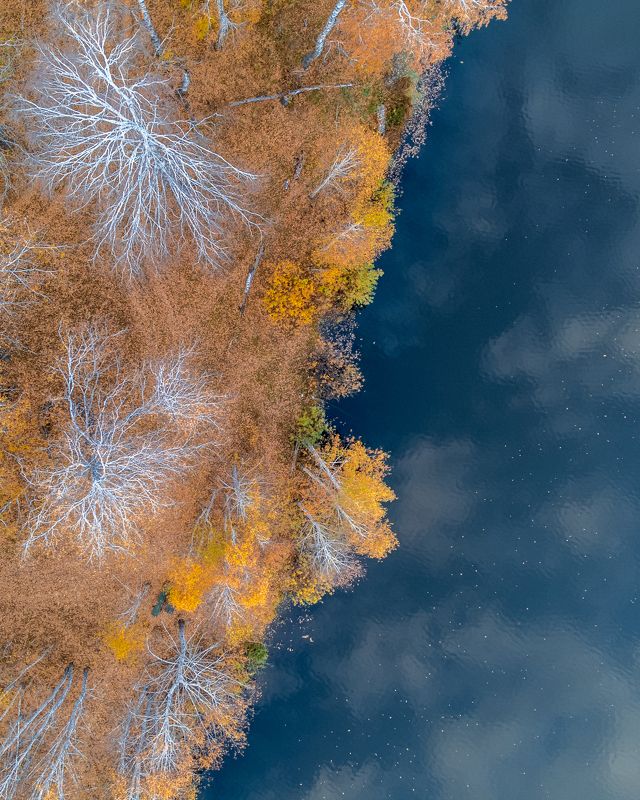 Гармония золотой осени фото превью