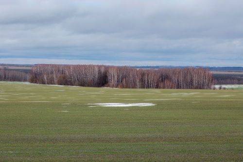 Теплая зима в Тульской области