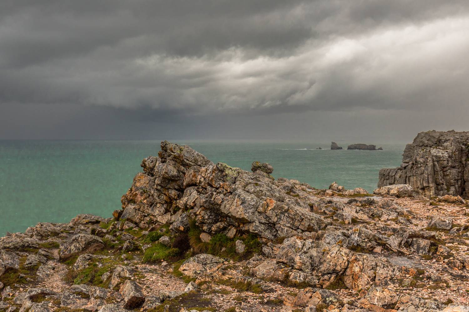 , Евгения Чех