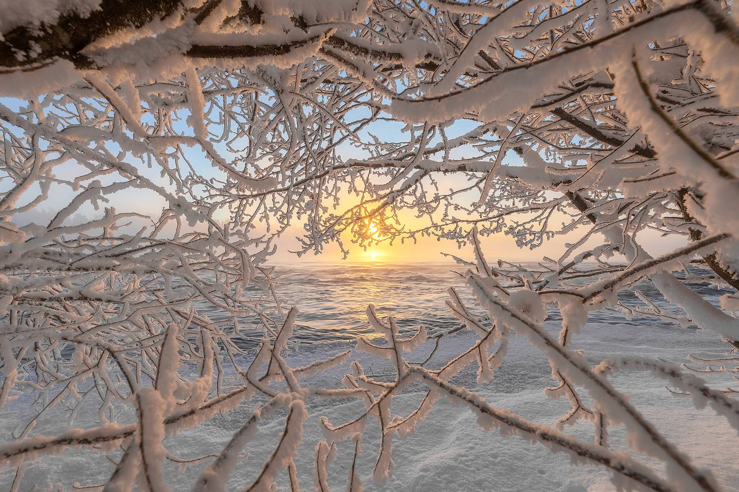 природа, пейзаж, рождество, утро, рассвет, лосево, вуокса, ленобласть, фототур, россия, зима, река,, Alexander Pashenichev