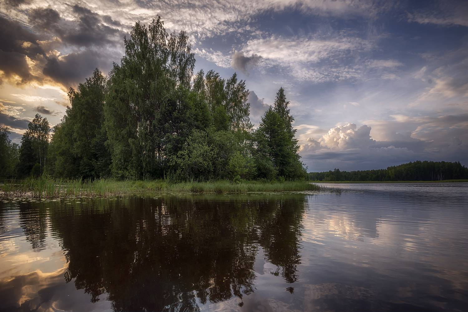 , Сергей Аникин