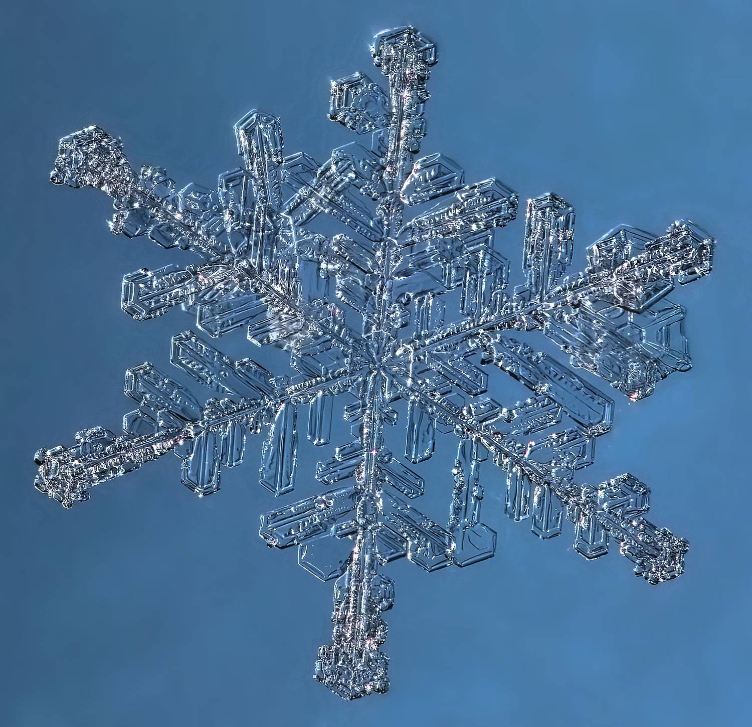 , Кузнецов Дмитрий