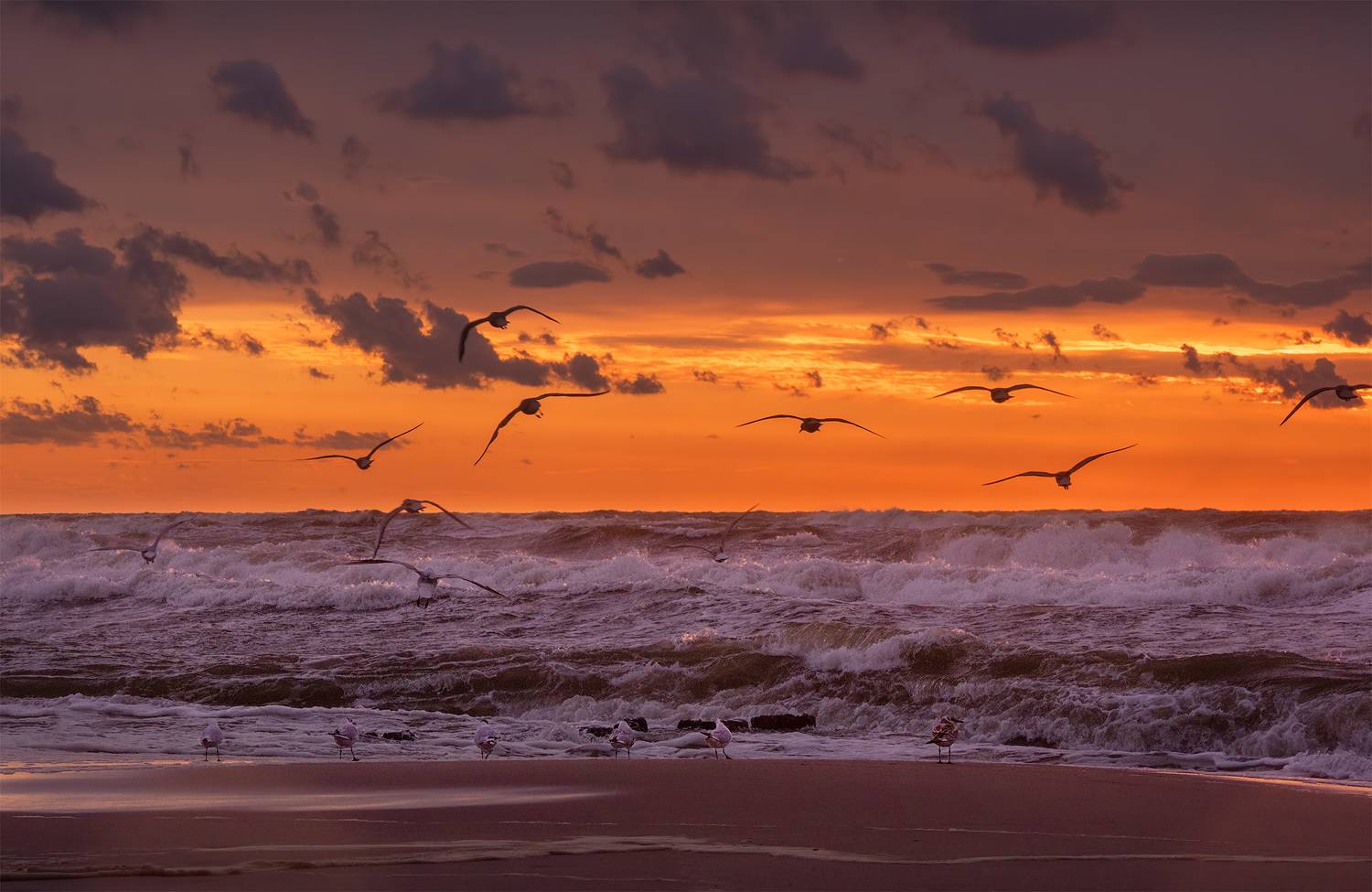 , Андрей Родионов