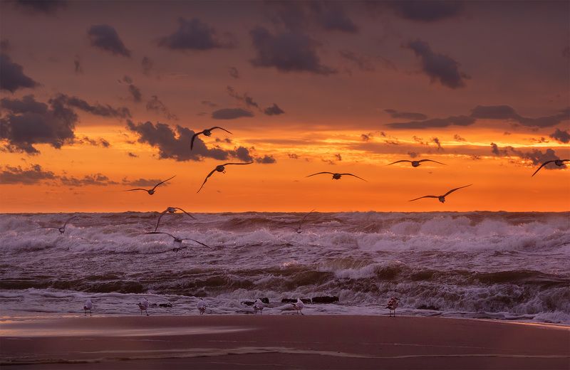 Балтийское море фото превью