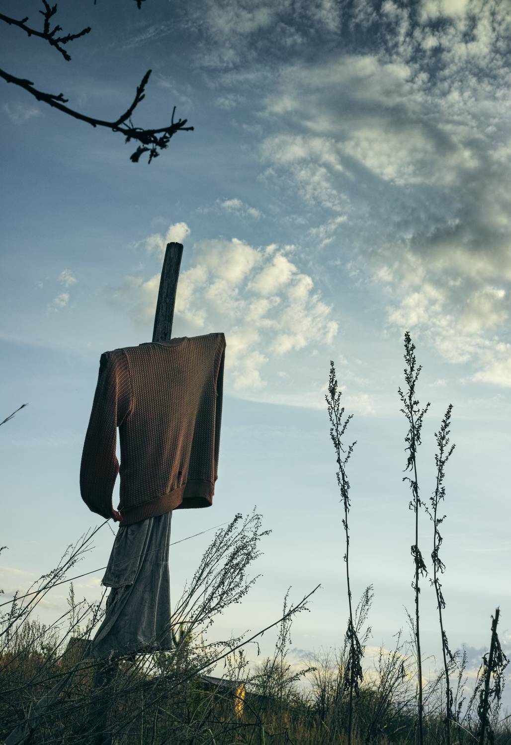 , Лофицкая Лариса