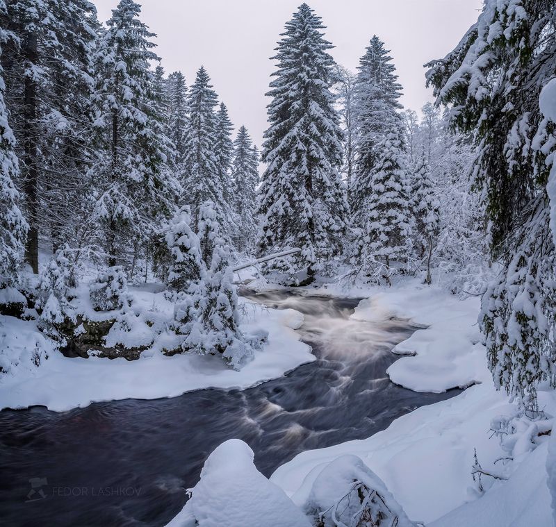 Лесная река фото превью