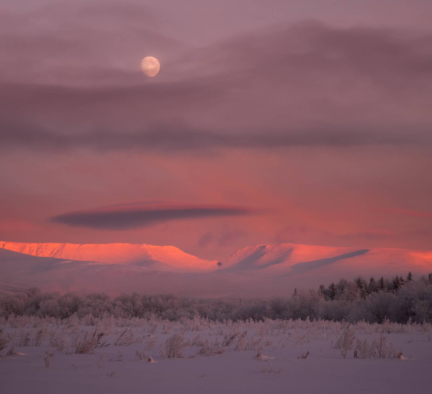 , Истомин Виталий