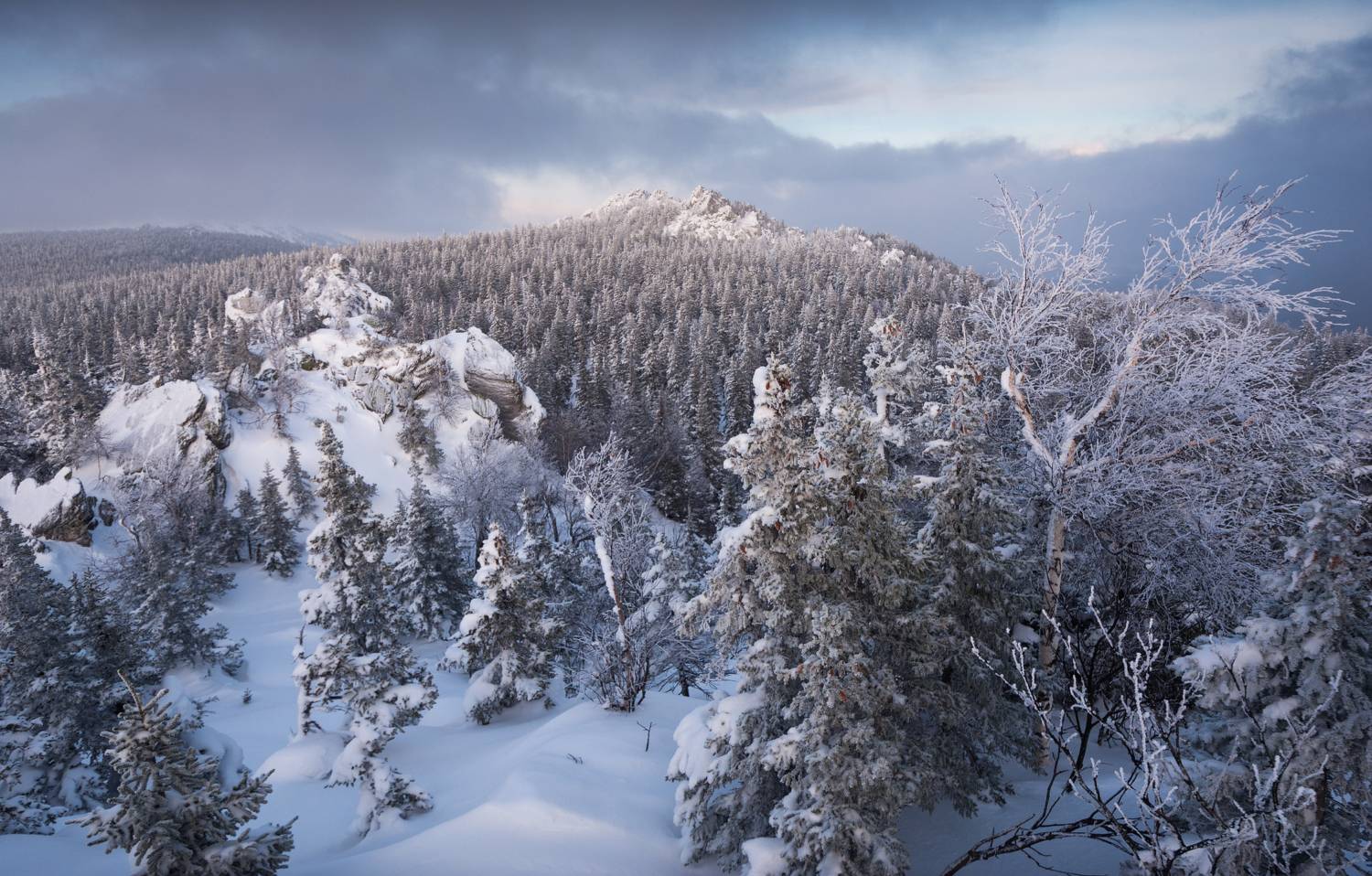 , Алексей Проняхин