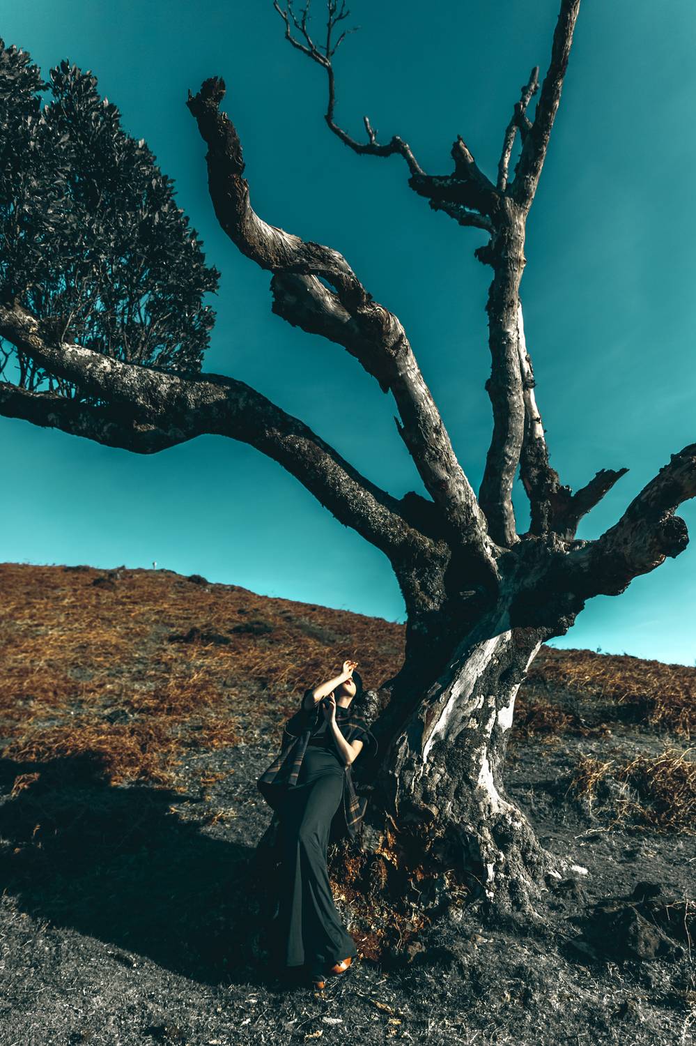 woman, portrait, fashion, beauty, outdoors, Руслан Болгов (Axe)