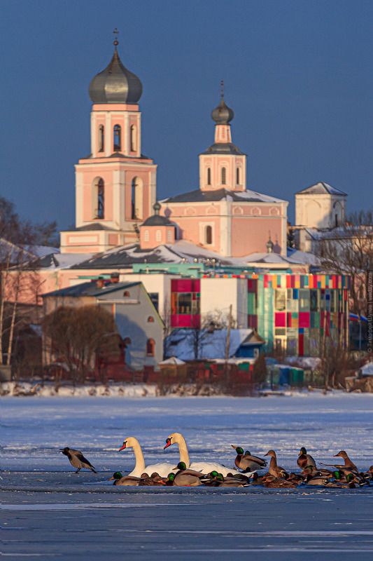 валдай Ворон-командир и его птичий отряд :-) фото превью
