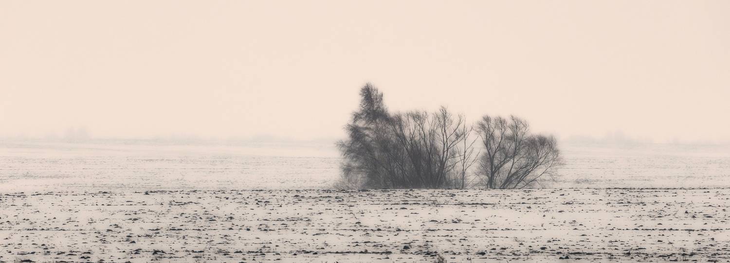 минимализм, поле, зима, Подосинников Максим