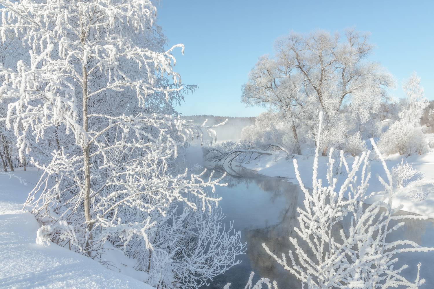 истра, Гусева Елена