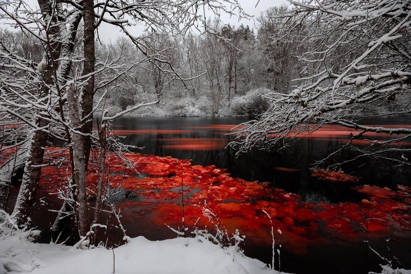 *** фото превью