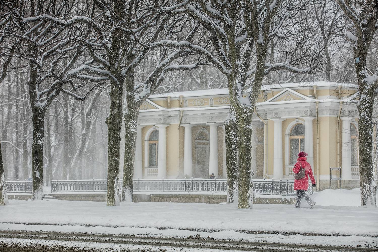 ,  александр михайлов