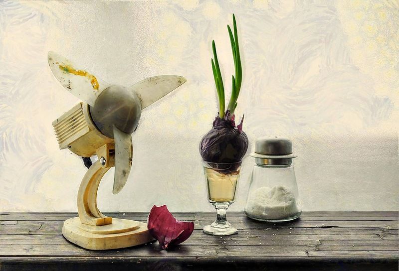 И в весну уже слегка верится! фото превью