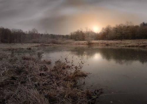 Осенние зарисовки X