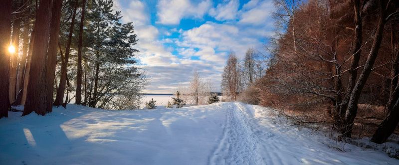 зима, озеро, деревья, беларусь, тропинка, Зимняя Нарочь фото превью