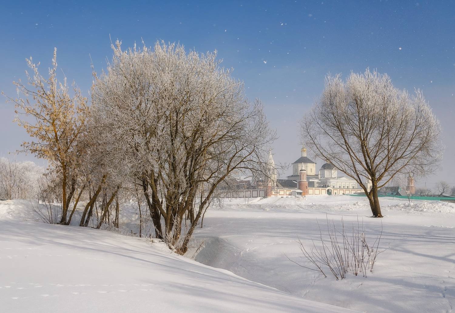 , Панова Зоя