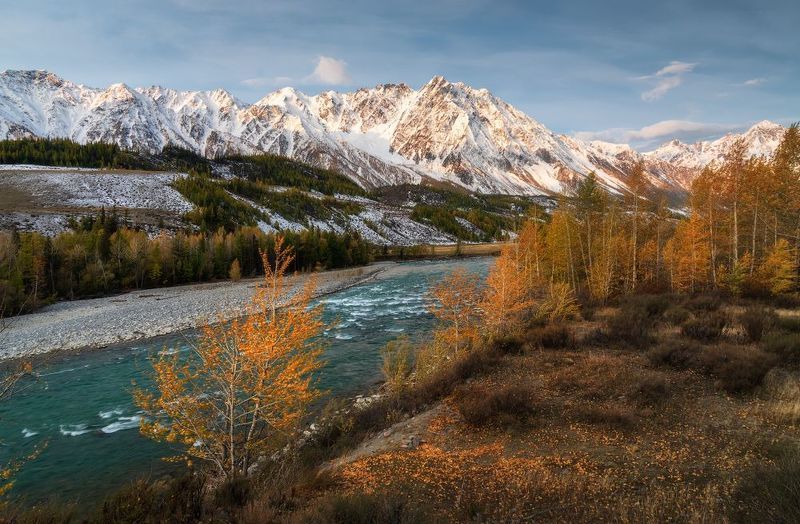 алтай, горный алтай, пейзажи алтая, кош-агачский район, горная река, золотая осень, горы, осенний алтай, горная тайга Ветреное утро фото превью