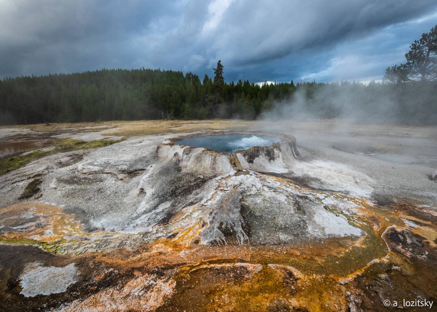 , Лозицкий Александр