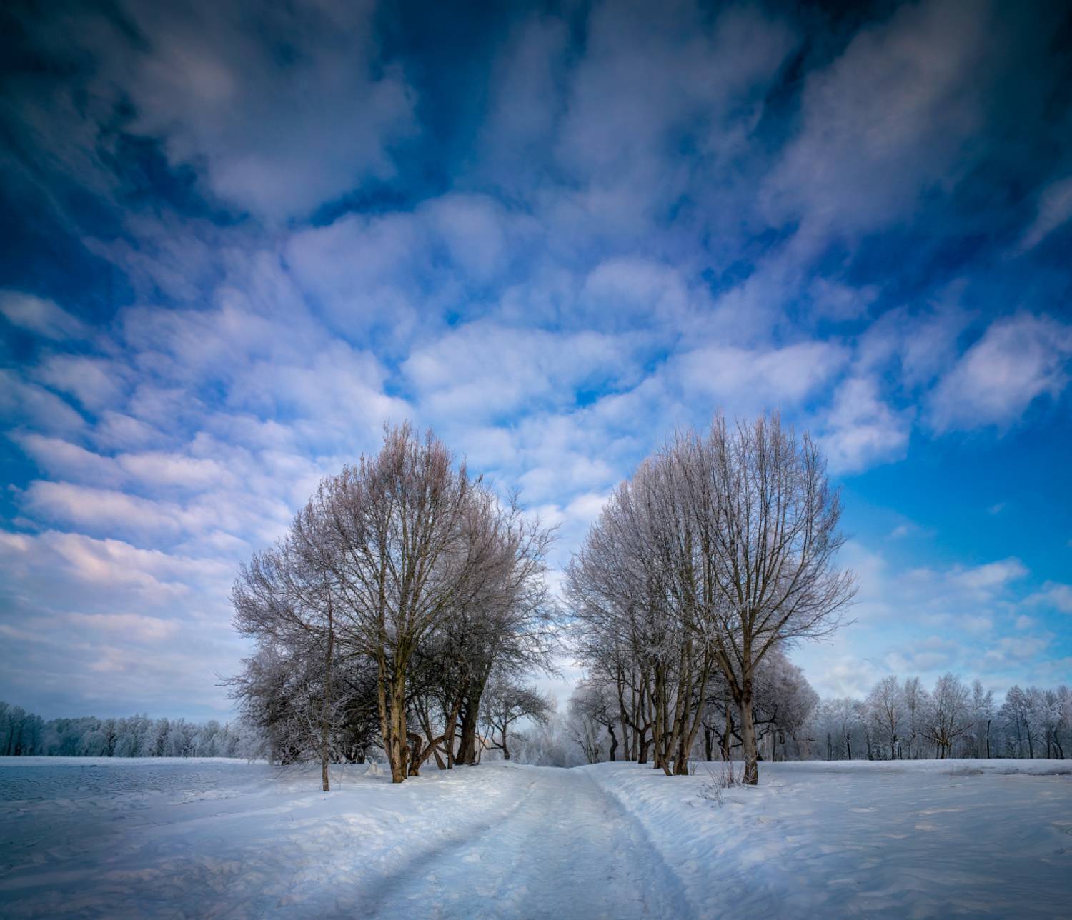 зима, дорожка, деревья, небо,, Сергей Шабуневич