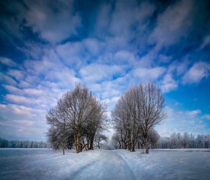 зима, дорожка, деревья, небо, Зимняя фото превью