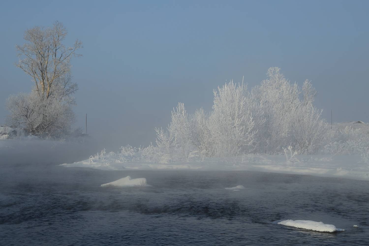 , Евгений Зинов