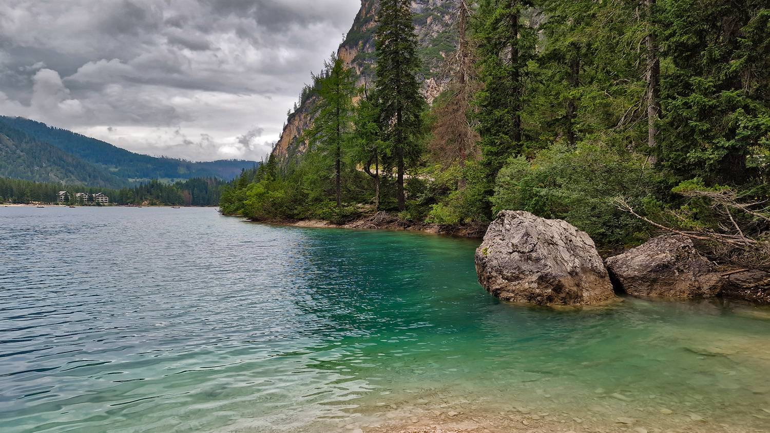 , Игорь Дубровский