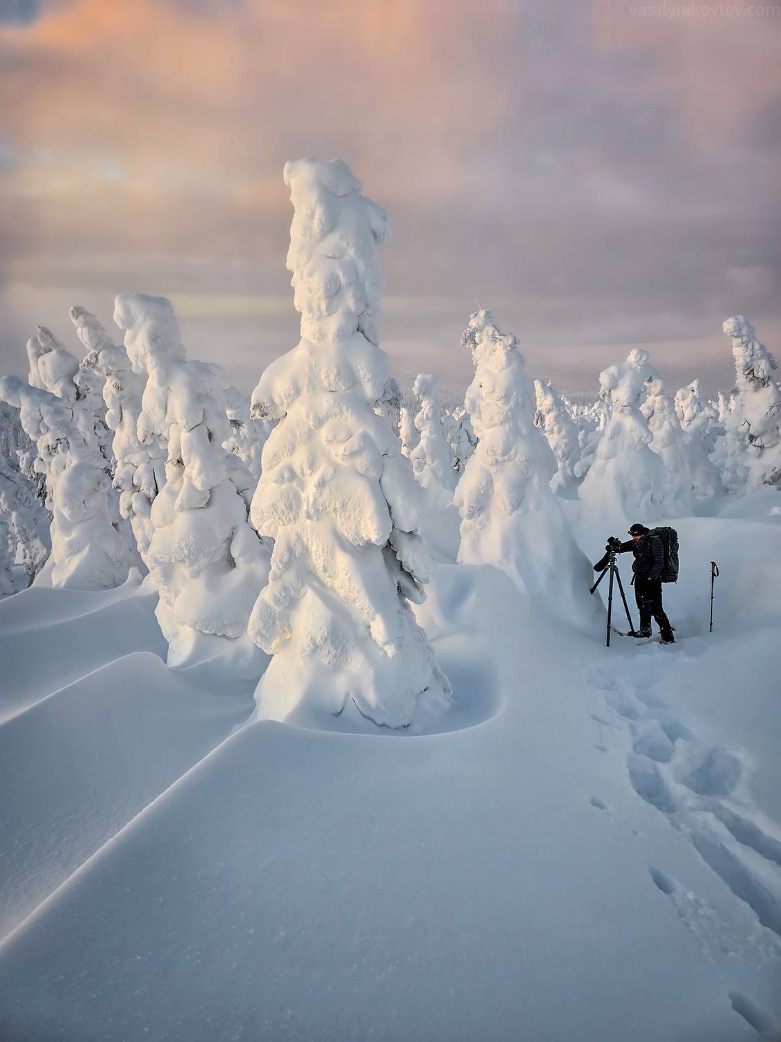 , Василий Яковлев