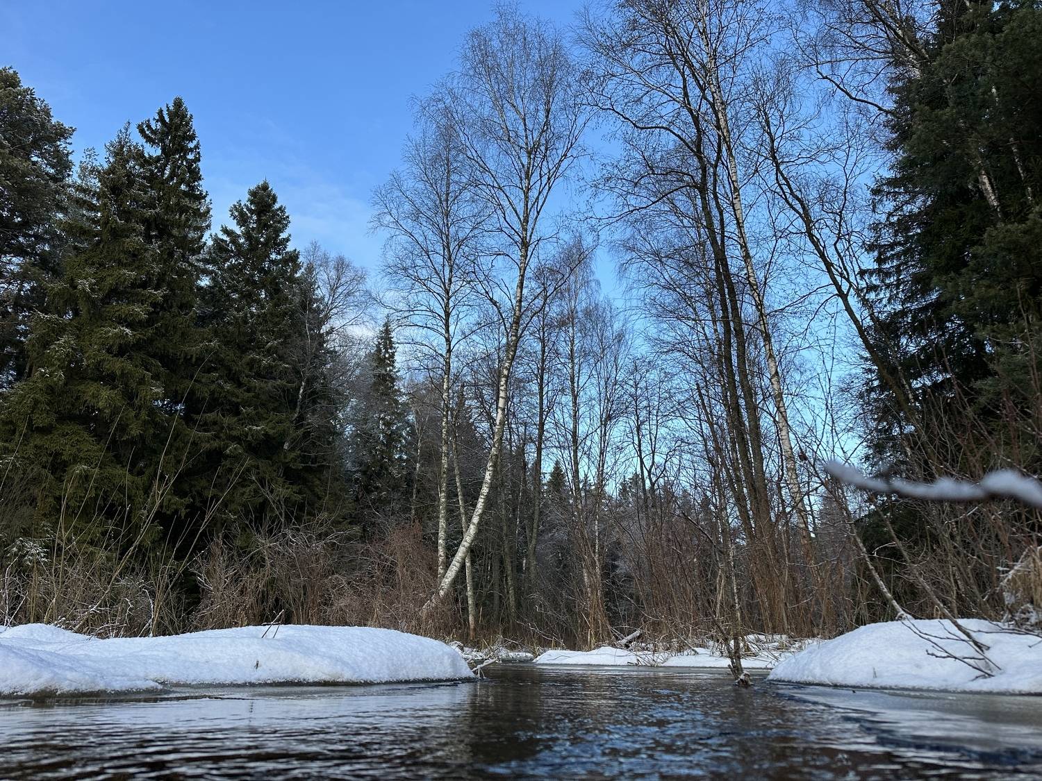 , Юрий Бувин