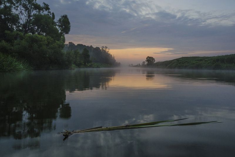 утро, заря, рассвет, якшино, река, упа Озарение фото превью