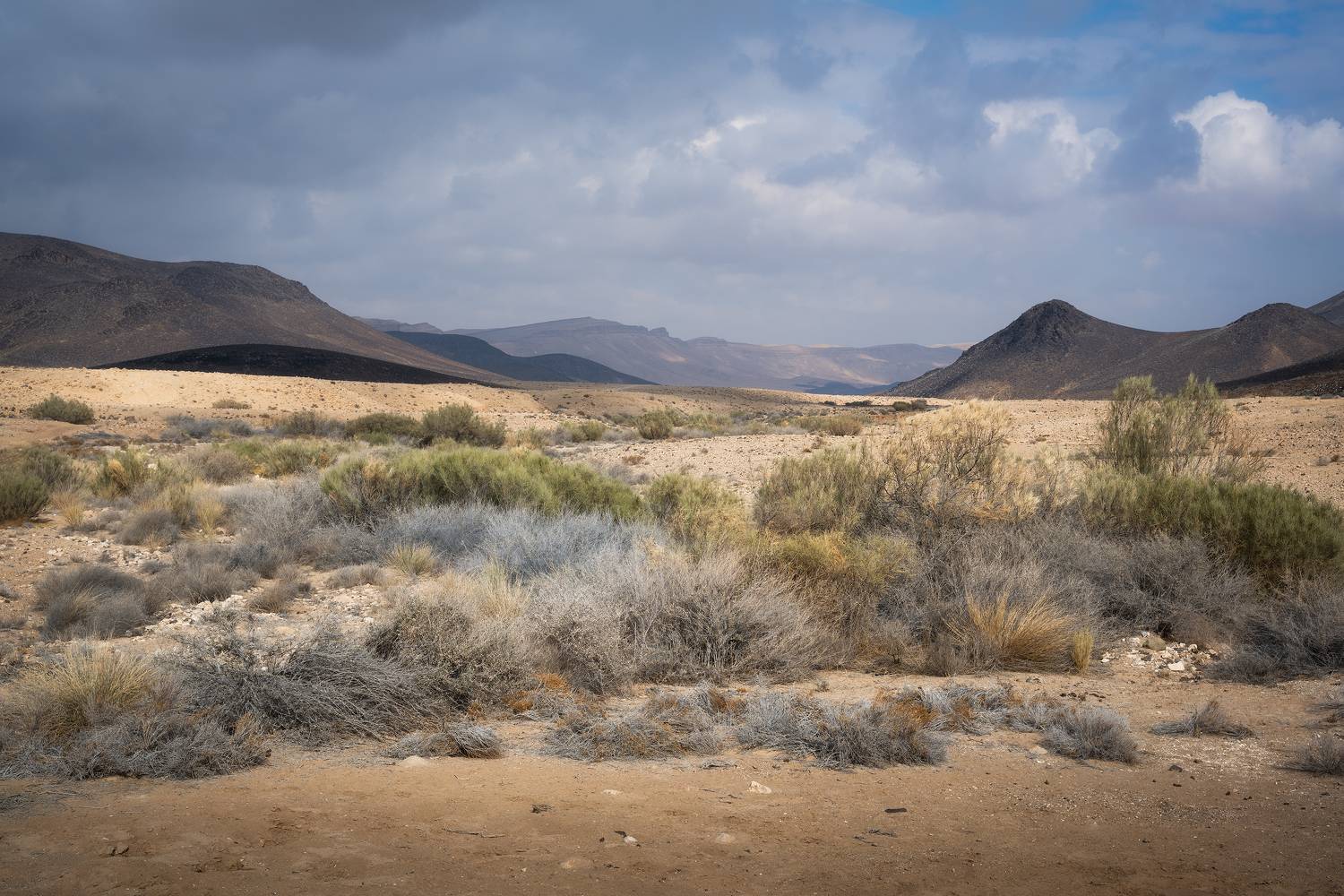 , Konstantin Kalinin