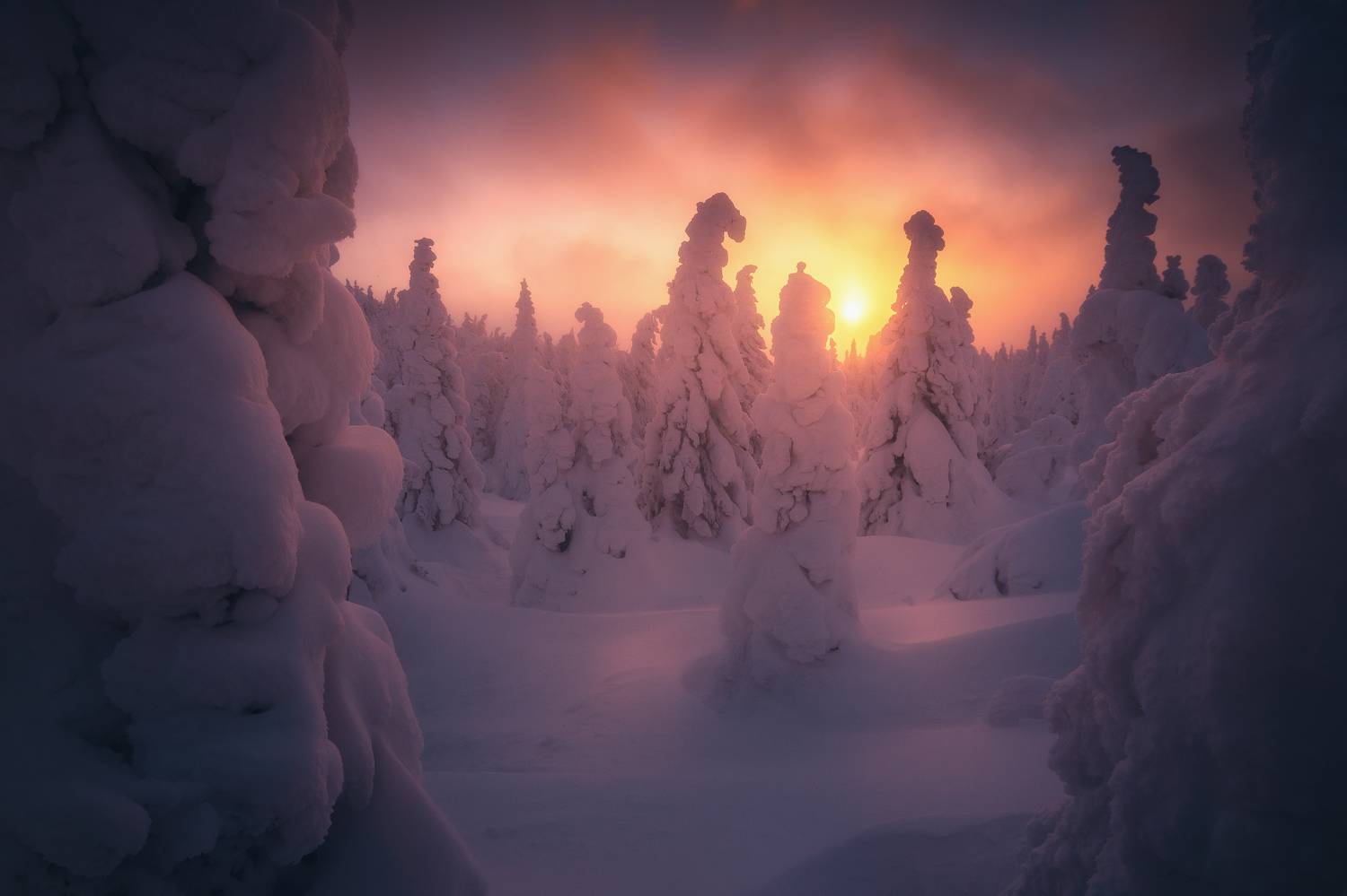 , Силантьев Даниил