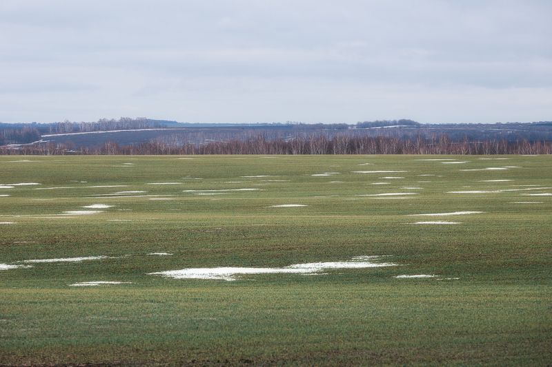 природа, пейзаж, зима, поля, теплая зима, Тульская область Бесснежная зима. Тульская область фото превью