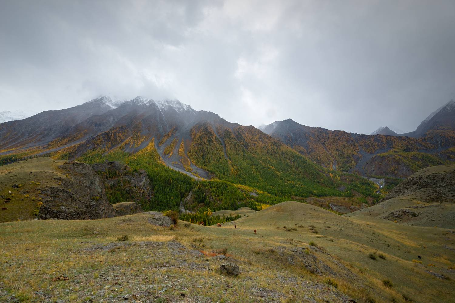 , Рустем Диков