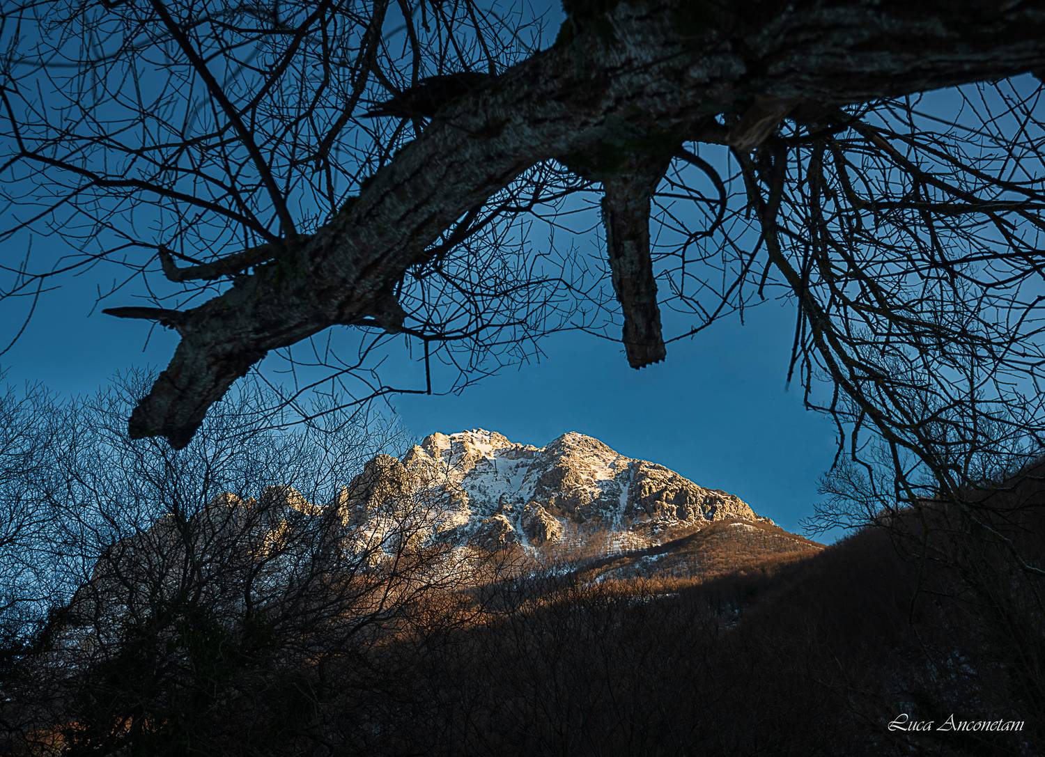 winter snow mountain cold italy marche region tree, Anconetani Luca