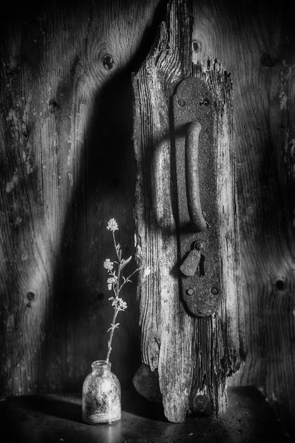 , Борис Кравецкий