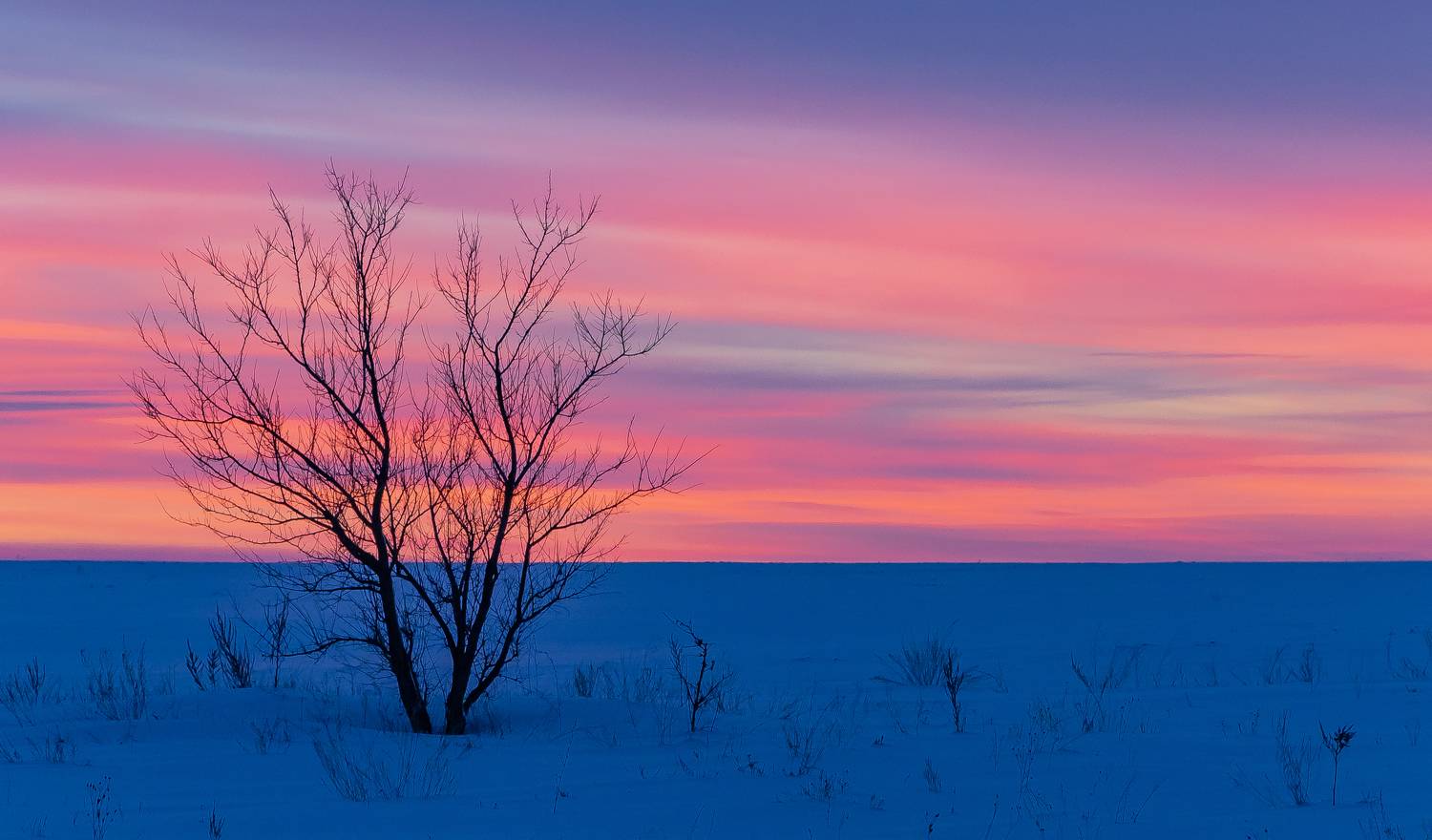, Подосинников Максим