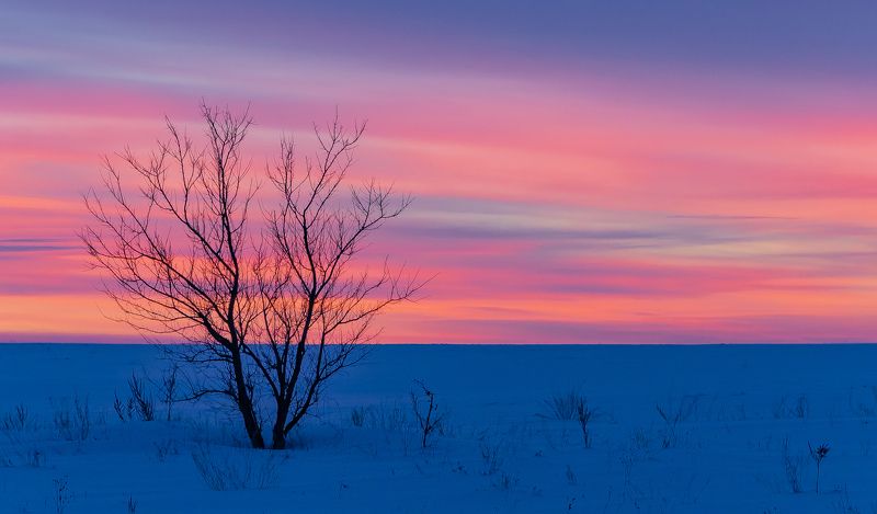 Купание в красках заката... фото превью