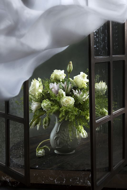 Порыв ветра, принёсший дождь фото превью