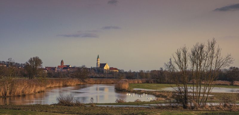 germany, winter, see, lake, deutschland, birds, sunset, city, nature, contrast, Two worlds фото превью