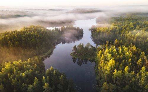 Фотографии из разных мест Ленинградской области, 2024-2025