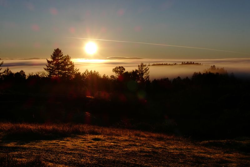 perspective WINTER IN  SONOMA фото превью