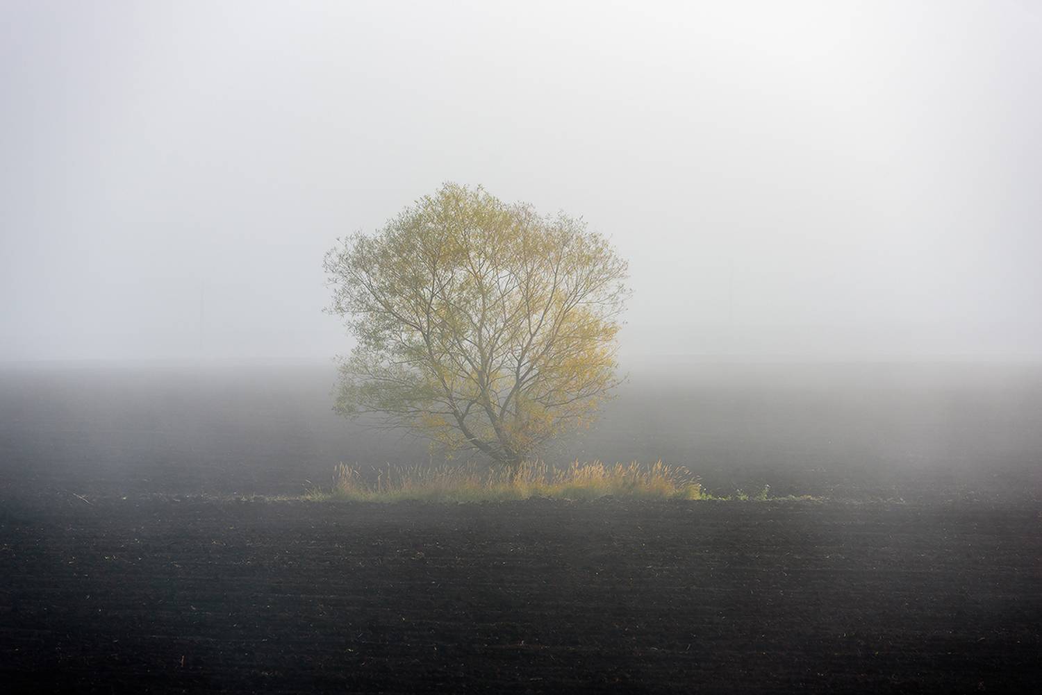 осень туман, Влад Шерман